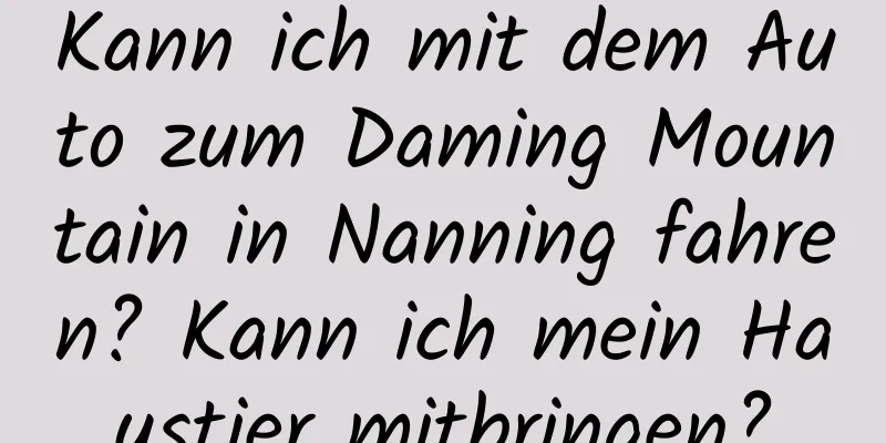 Kann ich mit dem Auto zum Daming Mountain in Nanning fahren? Kann ich mein Haustier mitbringen?