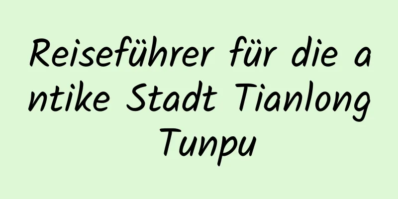 Reiseführer für die antike Stadt Tianlong Tunpu