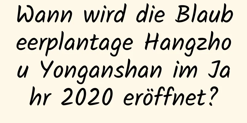 Wann wird die Blaubeerplantage Hangzhou Yonganshan im Jahr 2020 eröffnet?