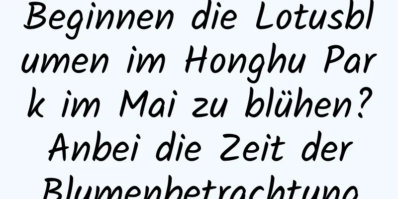 Beginnen die Lotusblumen im Honghu Park im Mai zu blühen? Anbei die Zeit der Blumenbetrachtung