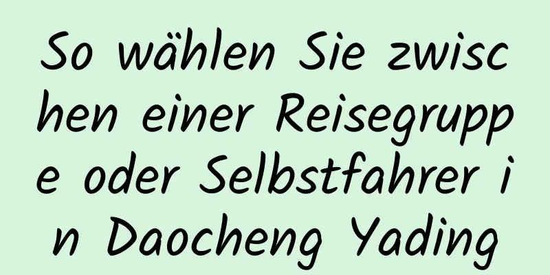 So wählen Sie zwischen einer Reisegruppe oder Selbstfahrer in Daocheng Yading