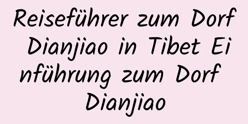 Reiseführer zum Dorf Dianjiao in Tibet Einführung zum Dorf Dianjiao