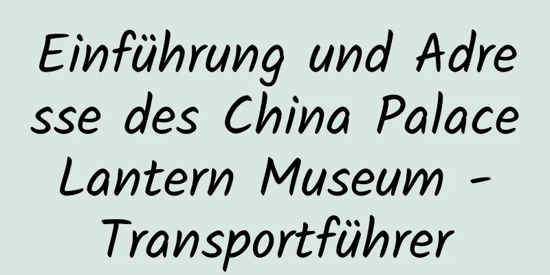 Einführung und Adresse des China Palace Lantern Museum - Transportführer