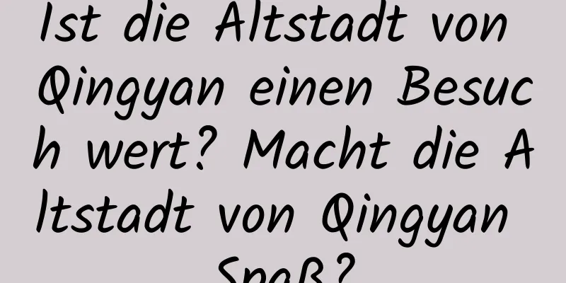 Ist die Altstadt von Qingyan einen Besuch wert? Macht die Altstadt von Qingyan Spaß?