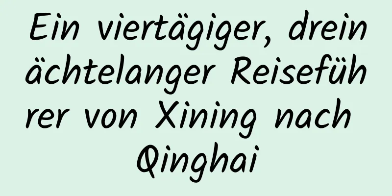 Ein viertägiger, dreinächtelanger Reiseführer von Xining nach Qinghai