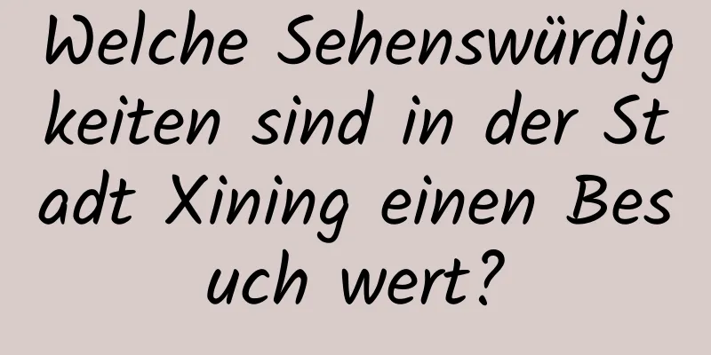 Welche Sehenswürdigkeiten sind in der Stadt Xining einen Besuch wert?