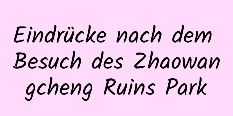 Eindrücke nach dem Besuch des Zhaowangcheng Ruins Park