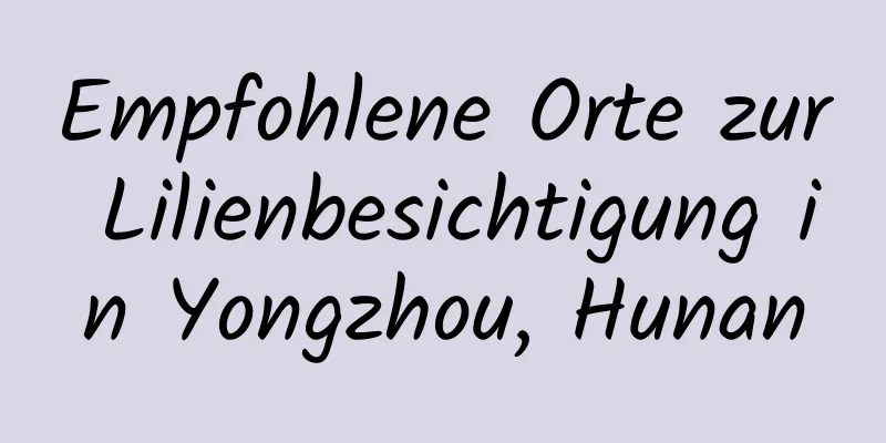 Empfohlene Orte zur Lilienbesichtigung in Yongzhou, Hunan