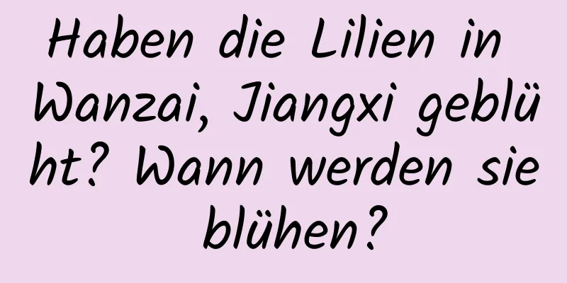 Haben die Lilien in Wanzai, Jiangxi geblüht? Wann werden sie blühen?