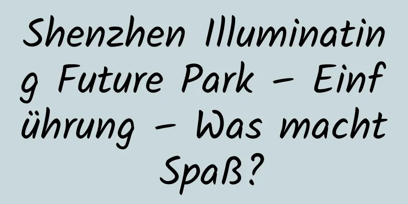 Shenzhen Illuminating Future Park – Einführung – Was macht Spaß?