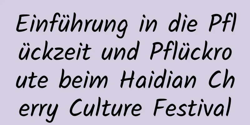 Einführung in die Pflückzeit und Pflückroute beim Haidian Cherry Culture Festival