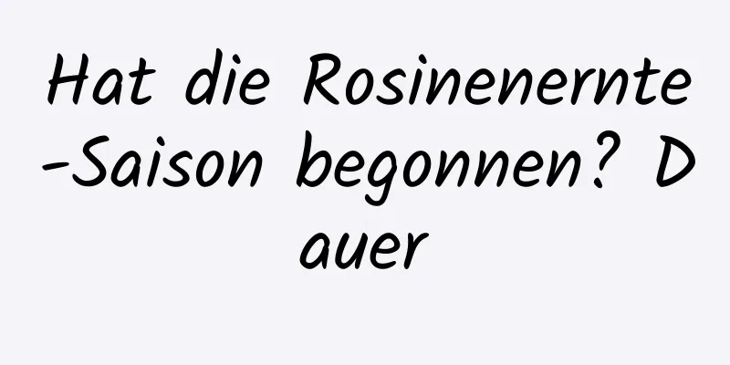 Hat die Rosinenernte-Saison begonnen? Dauer