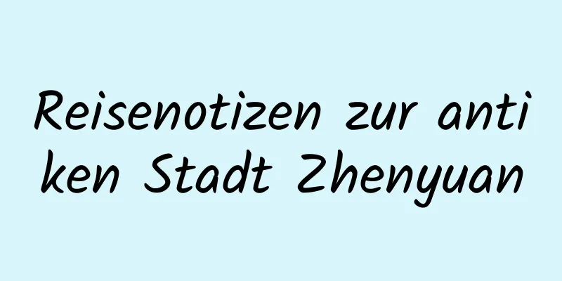 Reisenotizen zur antiken Stadt Zhenyuan