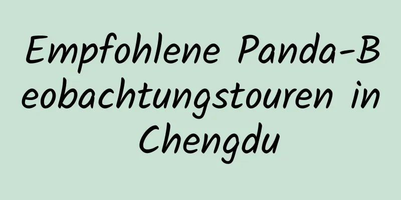 Empfohlene Panda-Beobachtungstouren in Chengdu