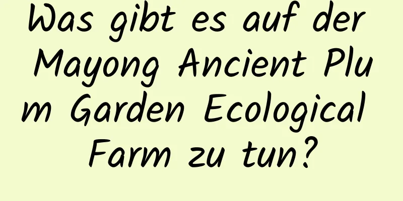 Was gibt es auf der Mayong Ancient Plum Garden Ecological Farm zu tun?