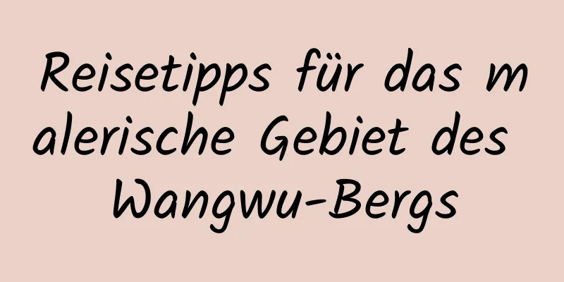 Reisetipps für das malerische Gebiet des Wangwu-Bergs