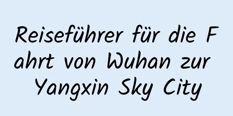 Reiseführer für die Fahrt von Wuhan zur Yangxin Sky City