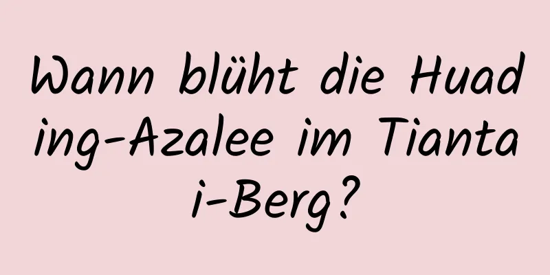 Wann blüht die Huading-Azalee im Tiantai-Berg?