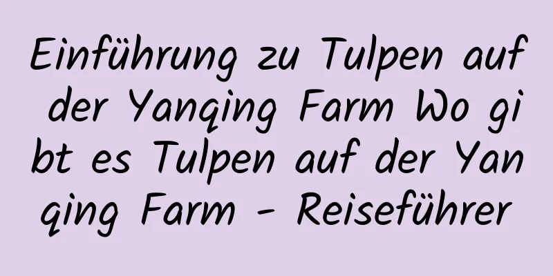 Einführung zu Tulpen auf der Yanqing Farm Wo gibt es Tulpen auf der Yanqing Farm - Reiseführer