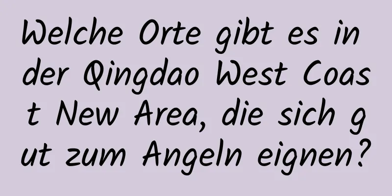 Welche Orte gibt es in der Qingdao West Coast New Area, die sich gut zum Angeln eignen?