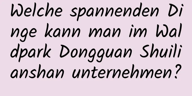 Welche spannenden Dinge kann man im Waldpark Dongguan Shuilianshan unternehmen?