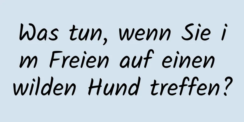 Was tun, wenn Sie im Freien auf einen wilden Hund treffen?