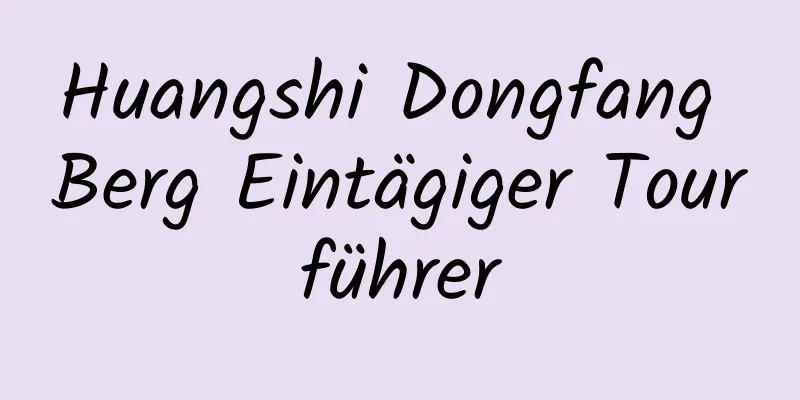 Huangshi Dongfang Berg Eintägiger Tourführer