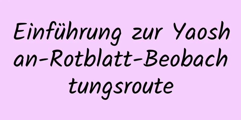 Einführung zur Yaoshan-Rotblatt-Beobachtungsroute