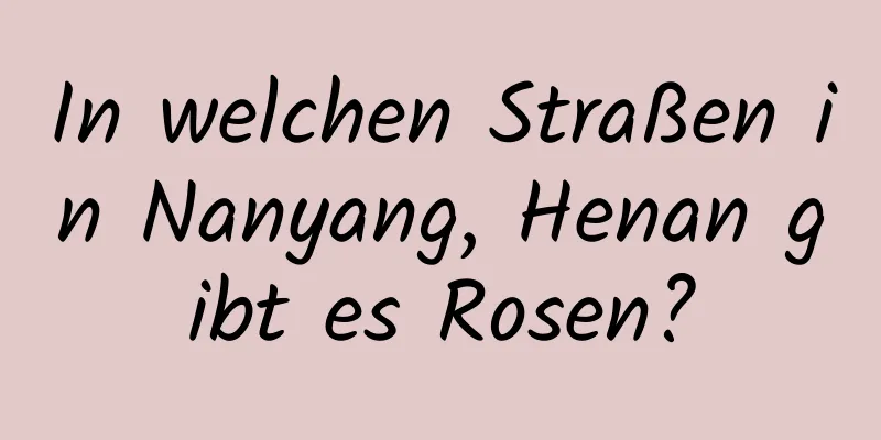 In welchen Straßen in Nanyang, Henan gibt es Rosen?