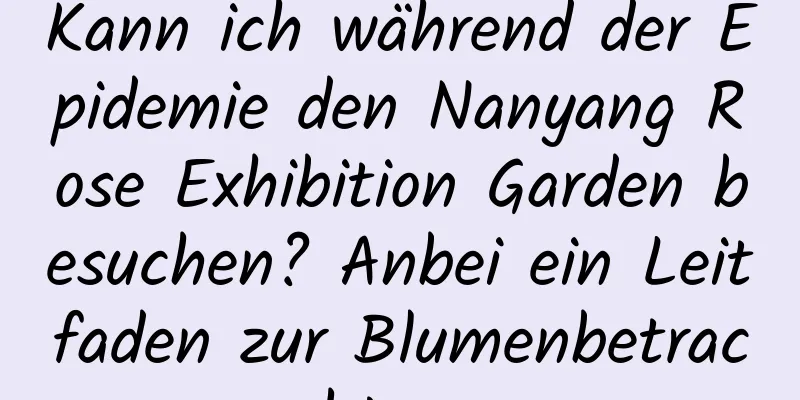 Kann ich während der Epidemie den Nanyang Rose Exhibition Garden besuchen? Anbei ein Leitfaden zur Blumenbetrachtung