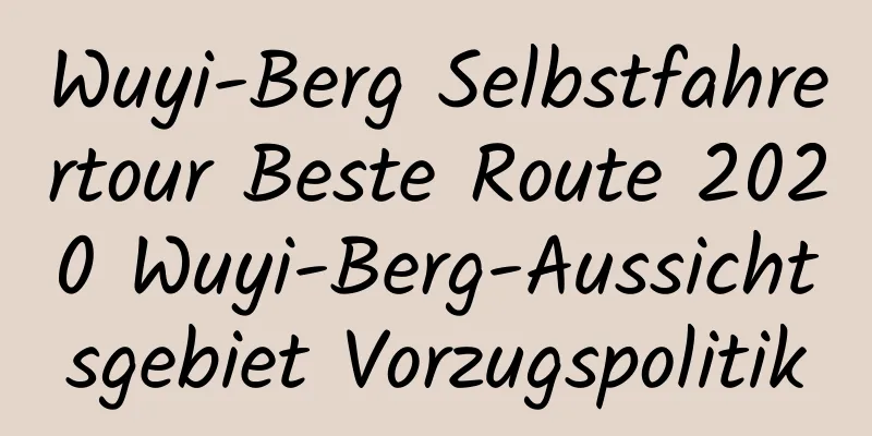 Wuyi-Berg Selbstfahrertour Beste Route 2020 Wuyi-Berg-Aussichtsgebiet Vorzugspolitik