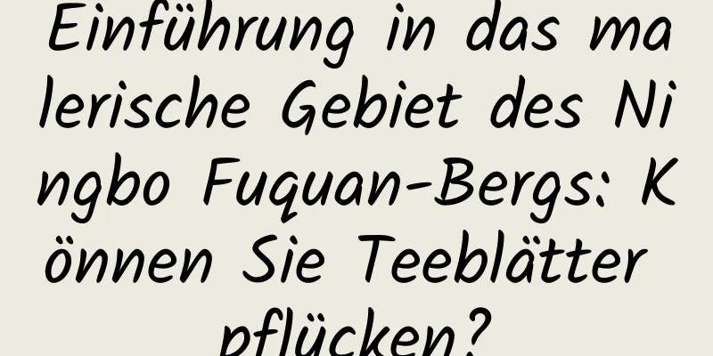 Einführung in das malerische Gebiet des Ningbo Fuquan-Bergs: Können Sie Teeblätter pflücken?