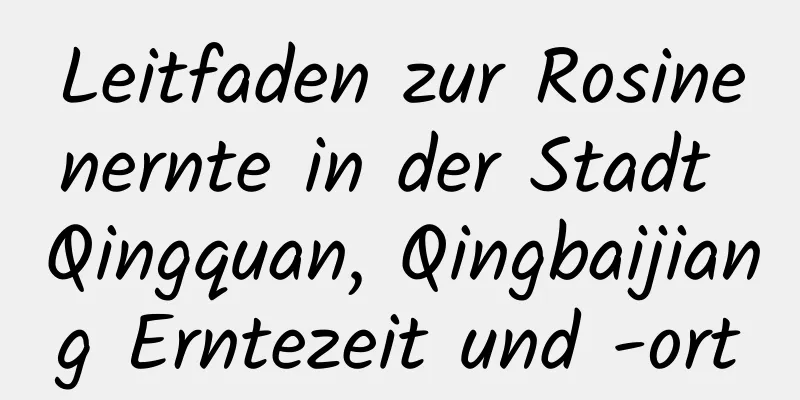 Leitfaden zur Rosinenernte in der Stadt Qingquan, Qingbaijiang Erntezeit und -ort