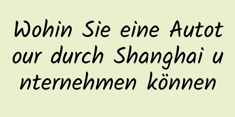 Wohin Sie eine Autotour durch Shanghai unternehmen können