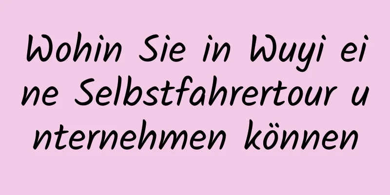 Wohin Sie in Wuyi eine Selbstfahrertour unternehmen können