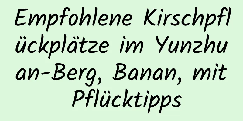 Empfohlene Kirschpflückplätze im Yunzhuan-Berg, Banan, mit Pflücktipps