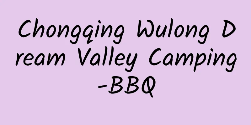 Chongqing Wulong Dream Valley Camping-BBQ