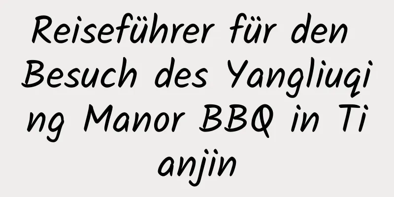 Reiseführer für den Besuch des Yangliuqing Manor BBQ in Tianjin