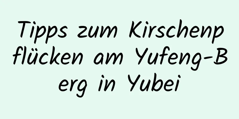 Tipps zum Kirschenpflücken am Yufeng-Berg in Yubei