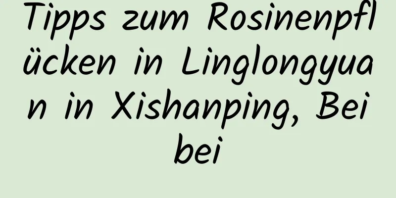 Tipps zum Rosinenpflücken in Linglongyuan in Xishanping, Beibei