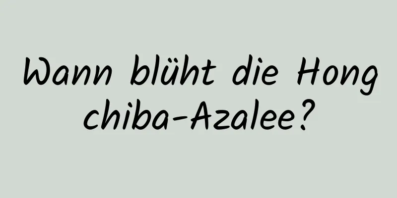 Wann blüht die Hongchiba-Azalee?