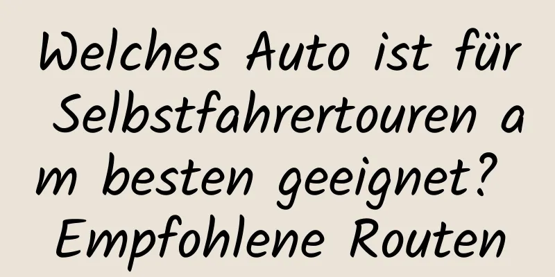 Welches Auto ist für Selbstfahrertouren am besten geeignet? Empfohlene Routen