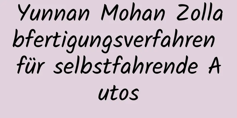 Yunnan Mohan Zollabfertigungsverfahren für selbstfahrende Autos