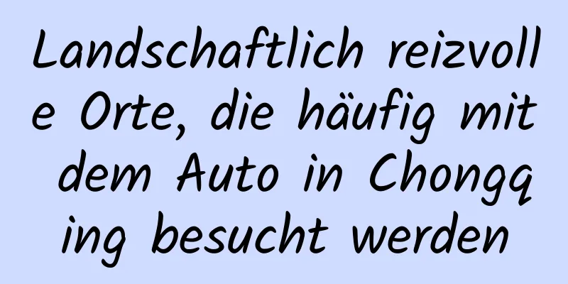 Landschaftlich reizvolle Orte, die häufig mit dem Auto in Chongqing besucht werden