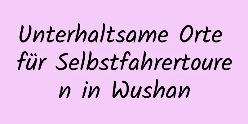 Unterhaltsame Orte für Selbstfahrertouren in Wushan