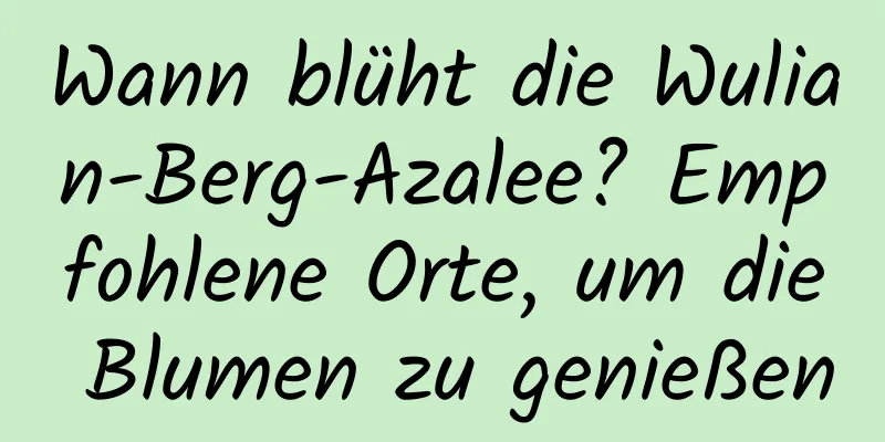 Wann blüht die Wulian-Berg-Azalee? Empfohlene Orte, um die Blumen zu genießen