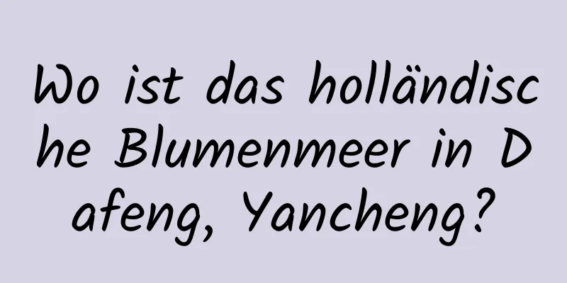 Wo ist das holländische Blumenmeer in Dafeng, Yancheng?