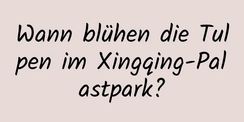 Wann blühen die Tulpen im Xingqing-Palastpark?