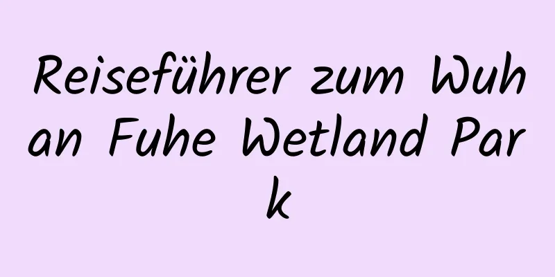 Reiseführer zum Wuhan Fuhe Wetland Park