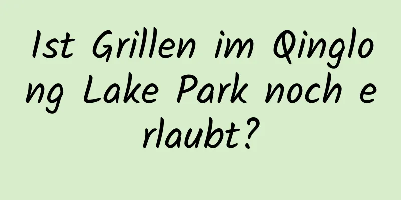 Ist Grillen im Qinglong Lake Park noch erlaubt?